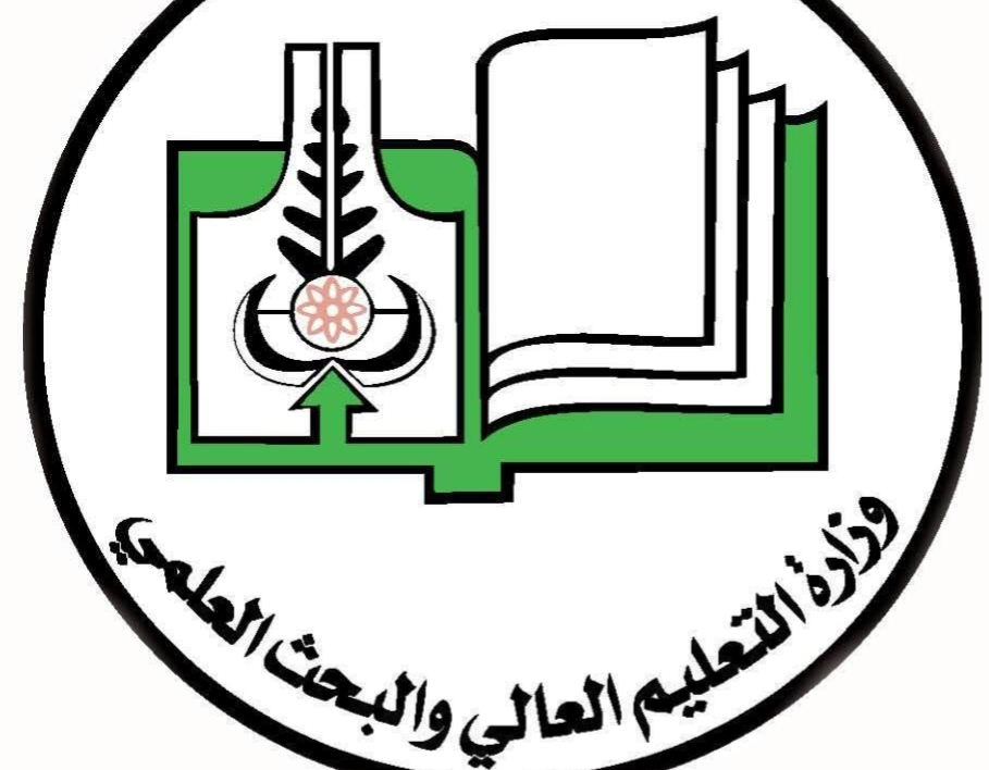 التعليم العالي