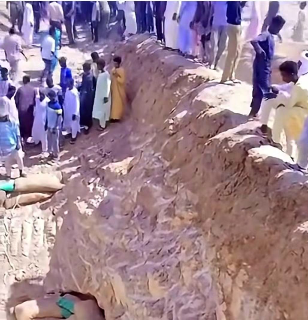 وردنا قبل قليل.. الولاية الشمالية وردنا قبل قليل.. الولاية الشمالية